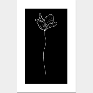 Flower Line Art Poppy Flower Line Work Plain Posters and Art